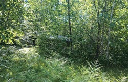 25702 M-64, Ontonagon, MI 49953