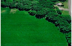 Victoria Drive, Blooming Grove, NY 10914
