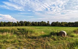 000 W Farm Road 124, Bois D Arc, MO 65612