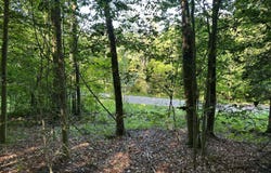 1232 Bell Hill Rd, Painted Post, NY 14870