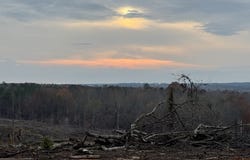 CR 442, PARIS, MS 38949