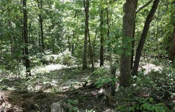 Lot 11, Block 2 Kettering  LN, Bella Vista, AR 72714