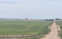 Wiggins, CO 80654
