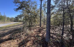 Lot 17 Shelby Court, Chipley, FL 32428