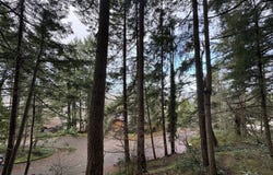 3605 EMERALD St, Eugene, OR 97405