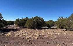 8692 Supancheck Road, Show Low, AZ 85901