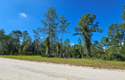 NE 38TH Place, WILLISTON, FL 32696