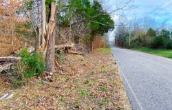 0 Old Lavinia Road, Cedar Grove, TN 38321