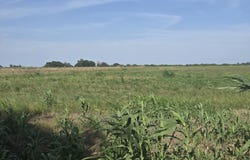 Lot 6 TBD Falke-Heinrich RD, Schulenburg, TX 78956