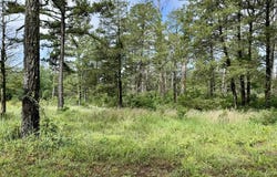 400 Tree Farm Road, Melbourne, AR 72556