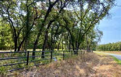 1049 Stagecoach Ranch Drive, Weatherford, TX 76085