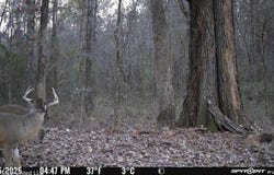 Swamp Road lot: A,E, Carthage, MS 39051