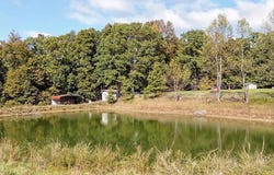 0 Blue Springs Drive, Spencer, IN 47460