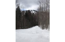 1 Pinnacle View Lane, Dover, VT 05356