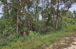 Papaya Drive, Marianna, FL 32448