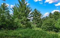 830 N Gilbertson Road, Augusta, WI 54722