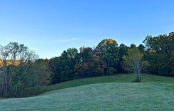 Sprowles Ridge Road, Campbellsville, KY 42718