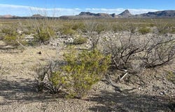 19795 & Reimers Road, Terlingua, TX 79852