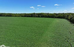 2325 Beaumont Ave., Ionia, IA 50645