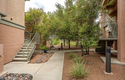 3650 Morningstar Drive, Las Cruces, NM 88011
