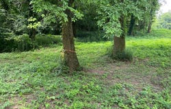 365 River Bridge Trail, Biggers, AR 72413