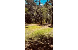 11 Black Jack Lane, Copper Canyon, TX 75077