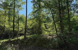 00 CAHABA HILL ROAD, BRIERFIELD, AL 35035