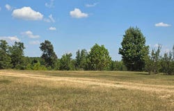 Co Rd 351, Maplesville, AL 36750