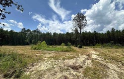 TBD County Road 4210, Woodville, TX 75979