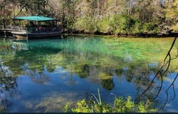 9796 N Feigel Ter, Crystal River, FL 34428