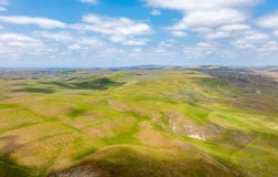 8050 Bitterwater Road, Shandon, CA 93461