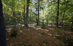 411 Middle Road, Standish, ME 04084