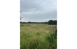Tbd SE 1325, Weaubleau, MO 65774