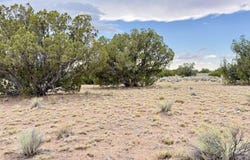 0 RD 7124, St. Johns, AZ 85936