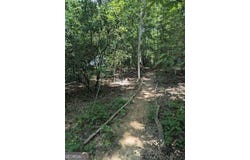 620 Blackberry LN, Clarkesville, GA 30523