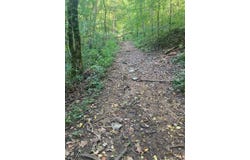 Goose Creek Road, Burkesville, KY 42717
