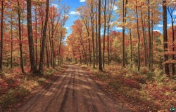 TBD Lot #4 Tressel Trail lot: #4, Iron River, WI 54847