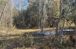 0 Beverly Road, Irvington, AL 36544