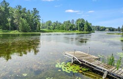 8225 Lakeview Drive, Hale, MI 48739
