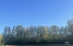 8 Cayden Circle lot: 8, Stapleton, AL 36578