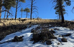 Tr 22 34th Trail, Cotopaxi, CO 81223