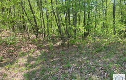Timber Run Dr lot: 12, Woolwine, VA 24185