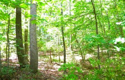 Lot 10A THUNDER RD, KING GEORGE, VA 22485