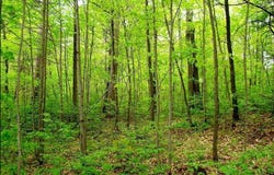 4 Lake Road, Phillips, WI 54555