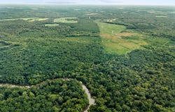 Apprx 218 Acres Old River, Statesboro, GA 30461
