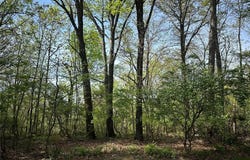 22 Sun Ridge Estates, Imperial, MO 63052