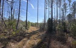 0 Taylor Mill Road, Elba, AL 36323