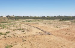 28857 N 227TH Avenue, Wittmann, AZ 85361