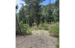 Tbd SPRUCE TRAIL LOT 3, Chama, NM 87520