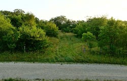 000 Hazel Road, Newtown, MO 64667